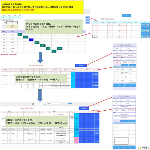 体系审核信息化实例